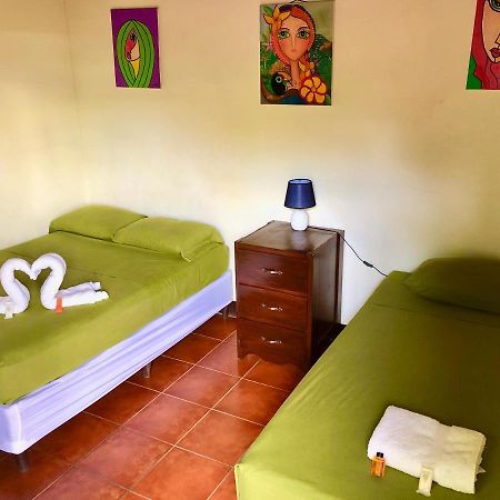 Casa Lula Leon Hostal Bagian luar foto