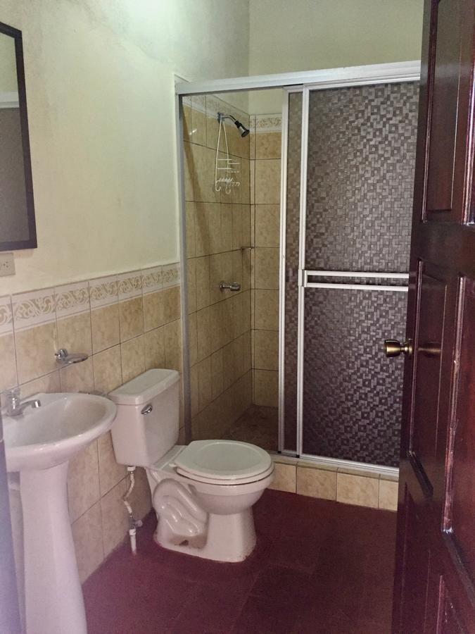 Casa Lula Leon Hostal Bagian luar foto